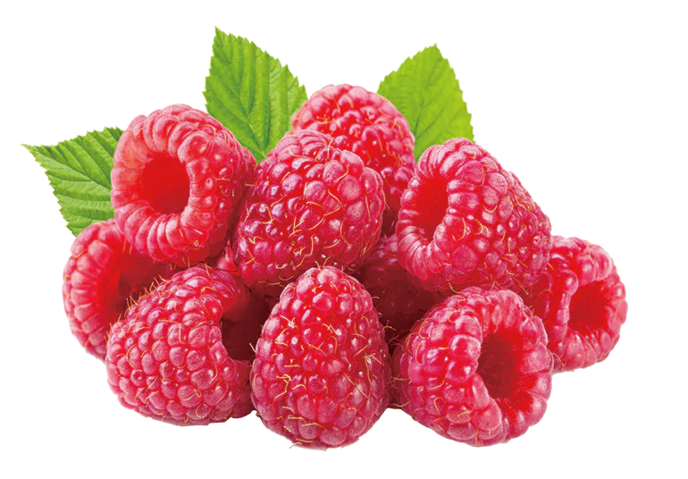 Главная